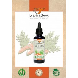 Natives Karottenöl 50 ml bio-zertifiziert